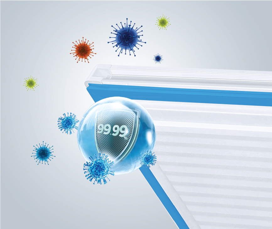 Comprehensive & Isolated from Bacteria Invasion