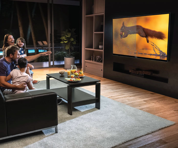Digital TV